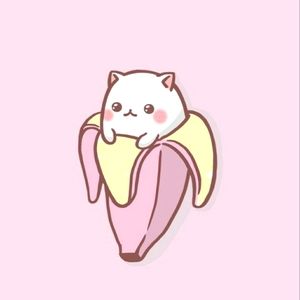 Meet your Posher, Aloe